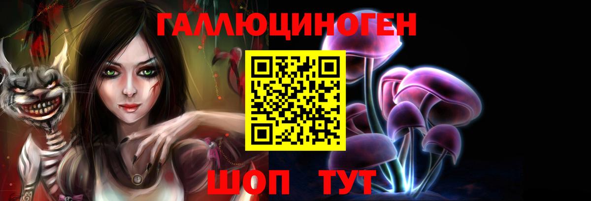 Псилоцибиновые грибы ЛСД  Вход с VPN  Шахты  Галлюциногенные грибы Psilocybine cubensis 
